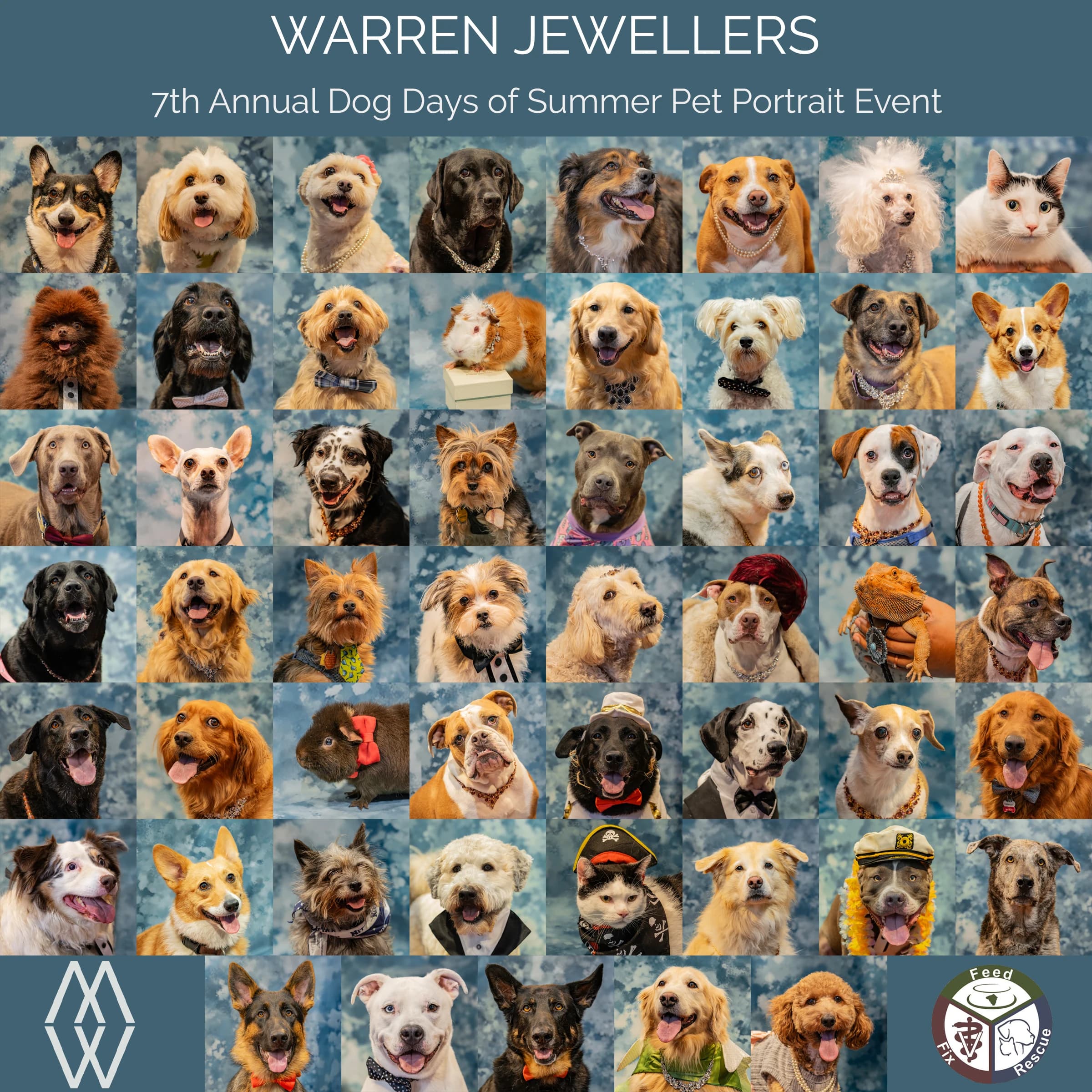 Collage of dogs, cats, guinea pigs and a bearded dragon from Warren Jewellers’ 7th Annual Dog Days of Summer Pet Portrait Event